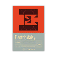 electric daisy plant seeds with typography packaging